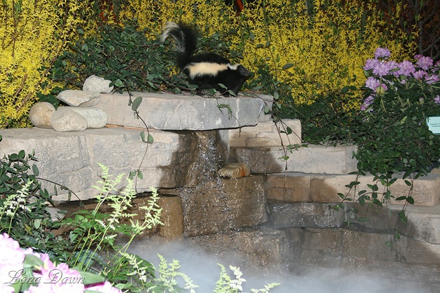 [HGS_Foggy_Falls%255B10%255D.jpg]