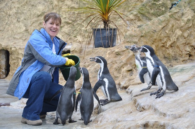 [Feeding%2520Penguins%2520DSC_2226%255B4%255D.jpg]
