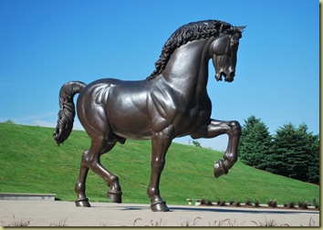 The American Horse