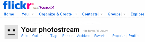 flickr photostream blogger 03