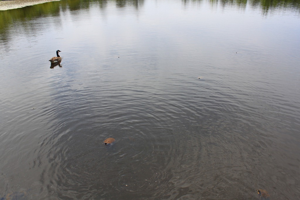 [IMG_9036%255B4%255D.jpg]