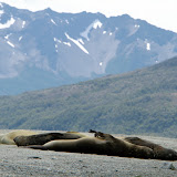 Chile - WilsonAdam_20110109_1980.jpg