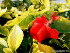 2012-01-01 15.48.38.jpg