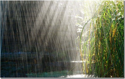 rain10 rain10