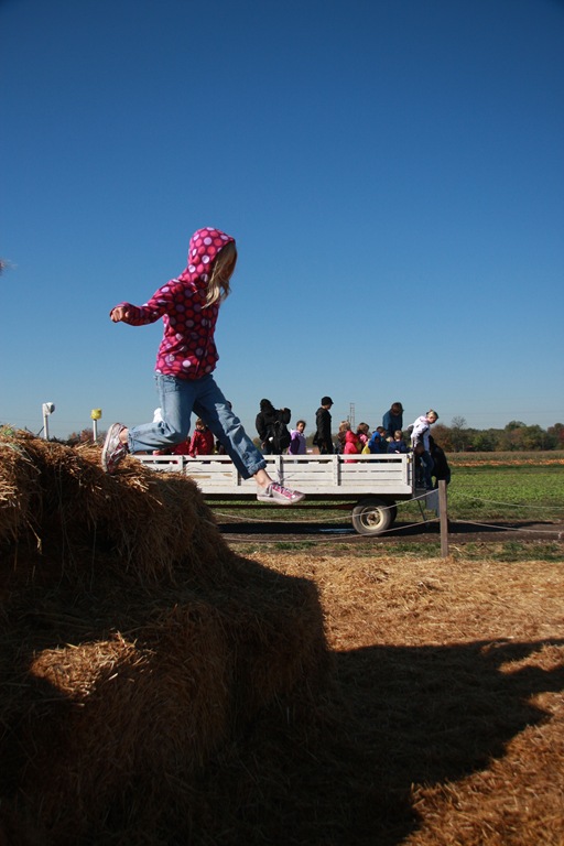 [IMG_5988%255B4%255D.jpg]