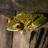 Selections - DSC00824.JPG