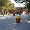 IMGP7374.JPG