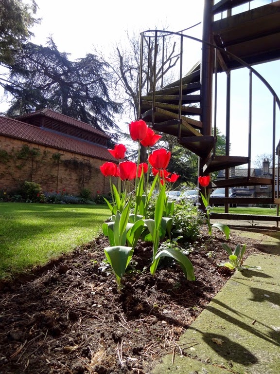 [DSC04819%2520%2528975x1300%2529%255B4%255D.jpg]