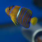 DSC_2192.jpg