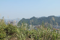 IMG_5539.JPG