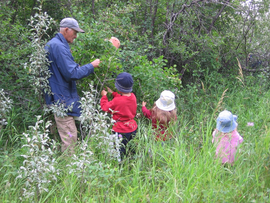 [saskatoons-0184.jpg]