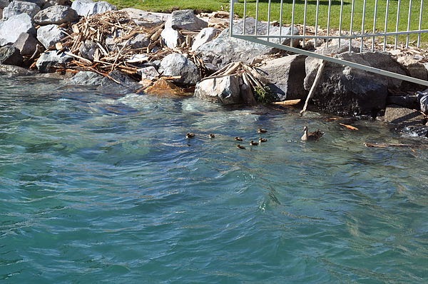 DSC_0773.JPG DSC_0773.JPG