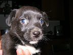 DSCF0468.JPG