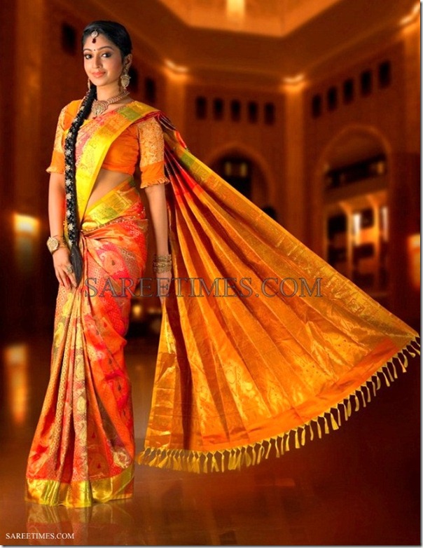 Mithra Kurian Gorgeous Saree Photo Shoot Stills