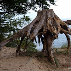 20100825_184_small.JPG