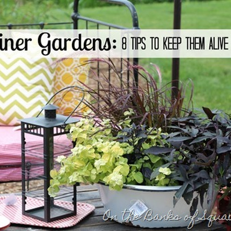 8 Tips to Keep Container Gardens Alive and Thriving On the Banks of