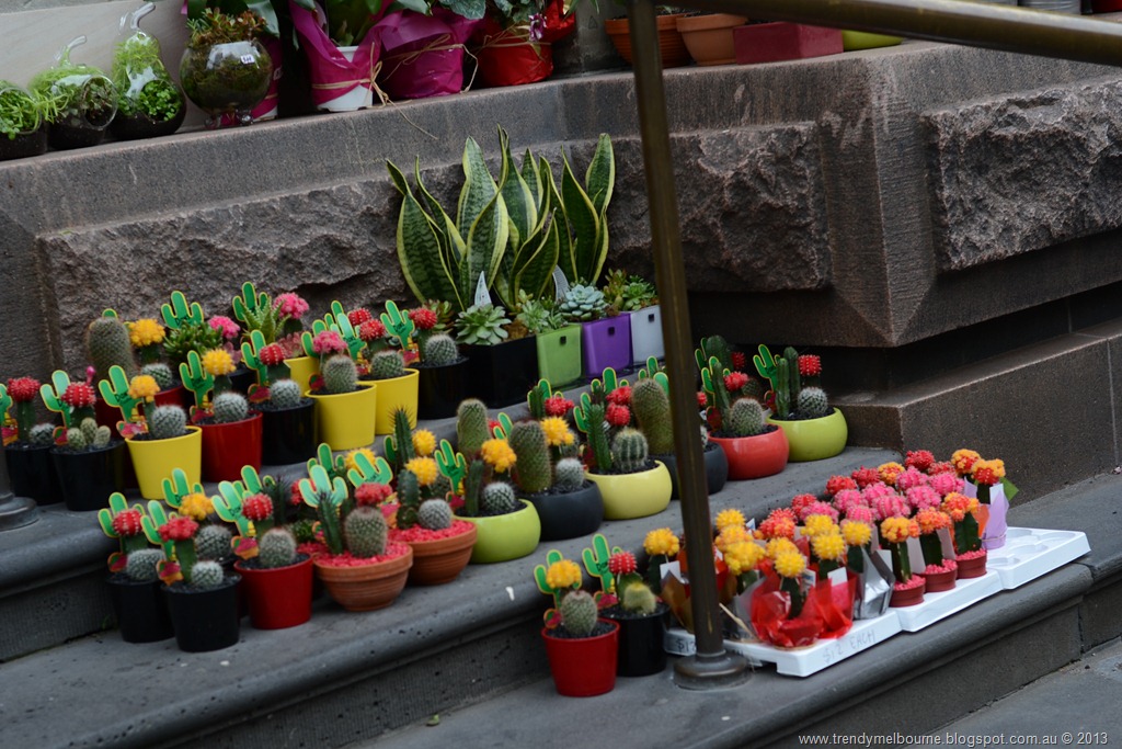 [DSC_0565%255B11%255D.jpg]