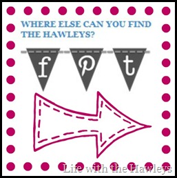 Social Media Pennants-2