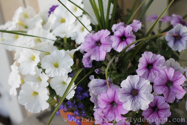 Planting Annuals (10)