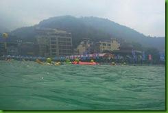 IMG_0393 IMG_0393