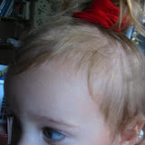 100-0003_IMG_2.JPG