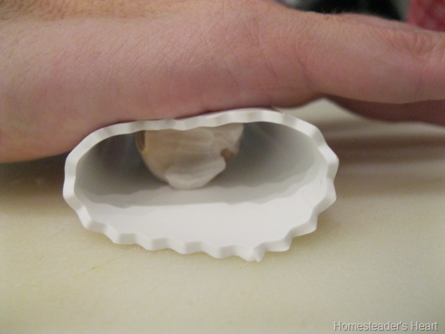 [IMG_3083%255B4%255D.jpg]