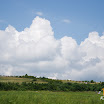 lovas vagta02.jpg