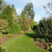 DSC00823.JPG
