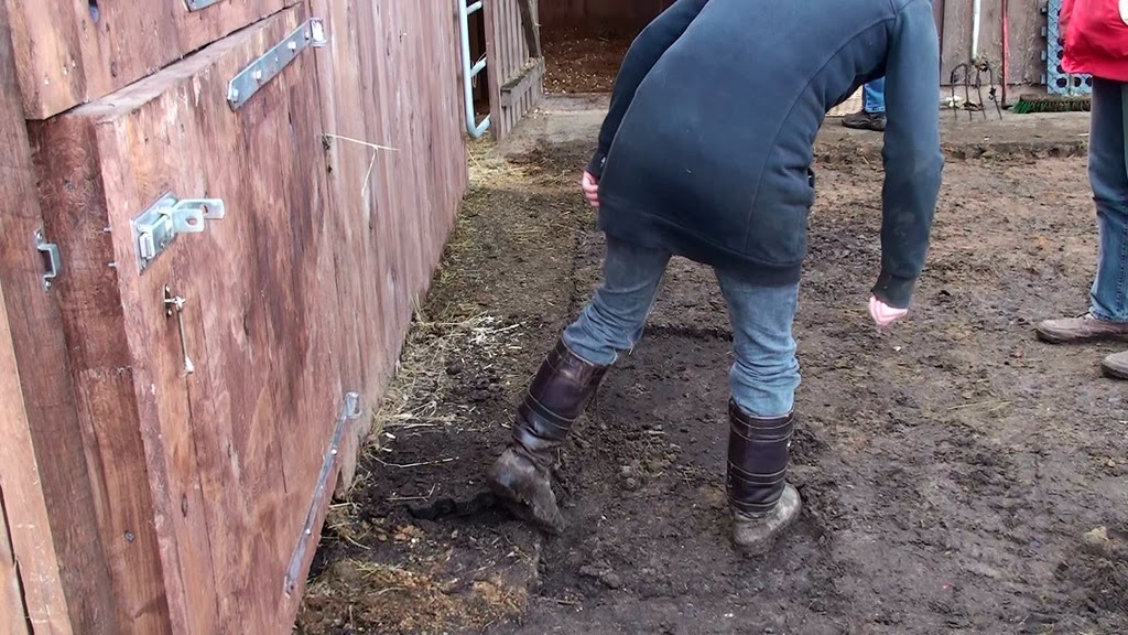 [20140219100646-%25281%2529%255B2%255D.jpg]