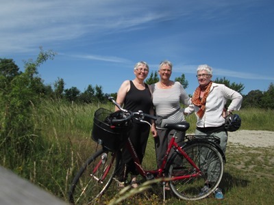 Gotland 2012 209 Gotland 2012 209