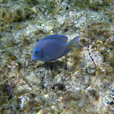 IMG_1379.JPG