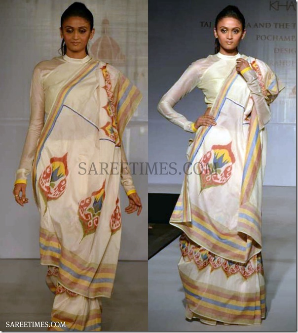 Rahul_Mishra_Pochampally_Saree