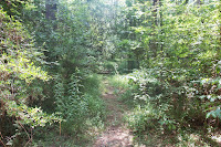 Taken from path to River / River Trail Photo Taken from path to River / River Trail Photo
