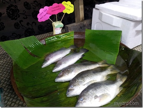 Siakap Segar