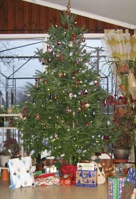 [IMG_3652-c72%255B4%255D.jpg]