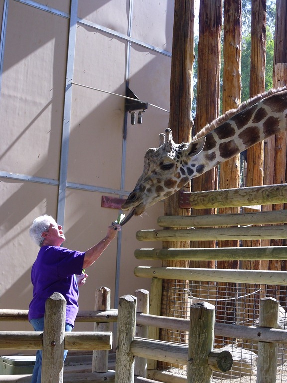 [Fresno%2520Zoo%2520012%255B3%255D.jpg]