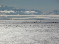 dscn0136.jpg
