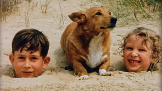 [viral-picdump-pics-076b02%255B2%255D.jpg]