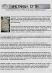 Seeds Of The World Tree A Primer On The Basics Of Esoteric Runelore