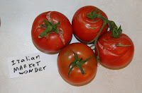 Img_8220es