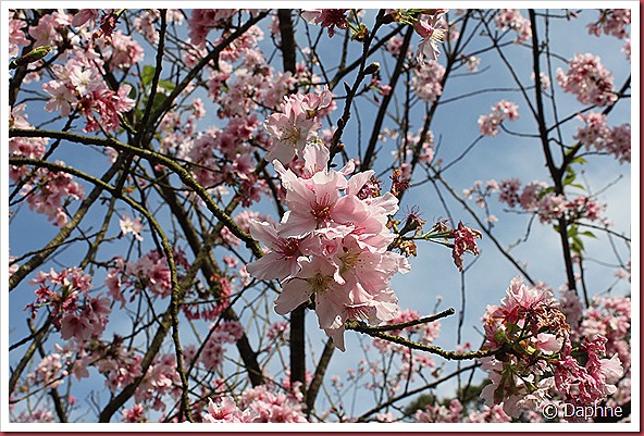 IMG_2404 IMG_2404