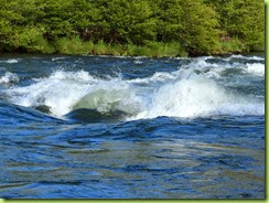 Fishing Lower Deschutes-005