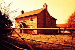 Farm-Life-17---XPRO