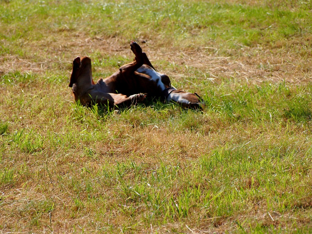 [25%2520July%25206%255B3%255D.jpg]