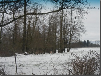 DSCN2239