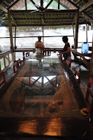 pinoyecofarm penalosa farms_0030.JPG