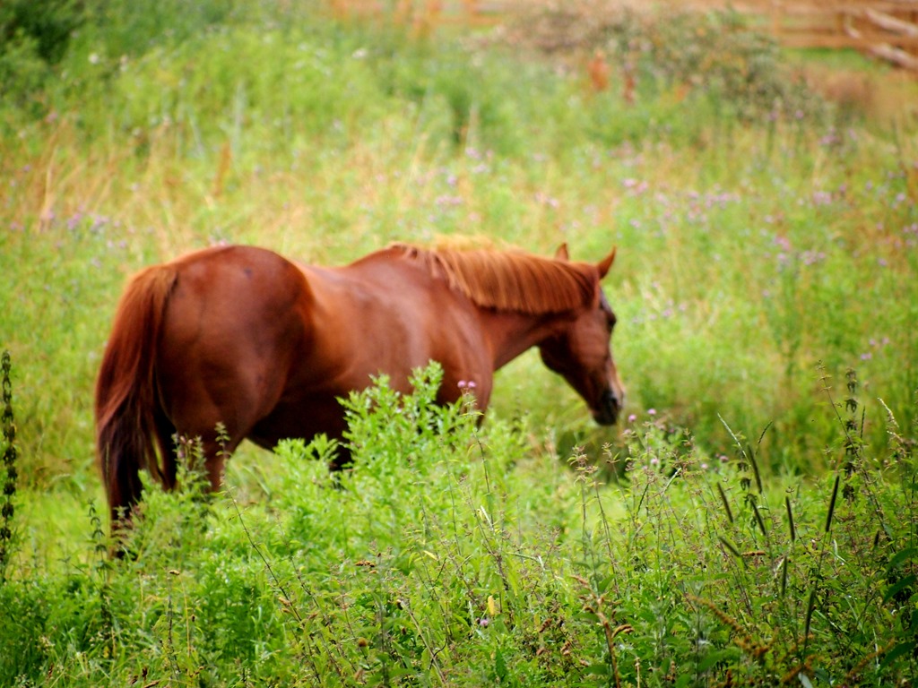 [1%2520Aug%25202%255B3%255D.jpg]