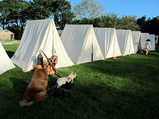 There's actually a whole row of tents!  And what is that man carrying?  Is it...is it a musket for shooting?  This is definitely some sort of army camp!