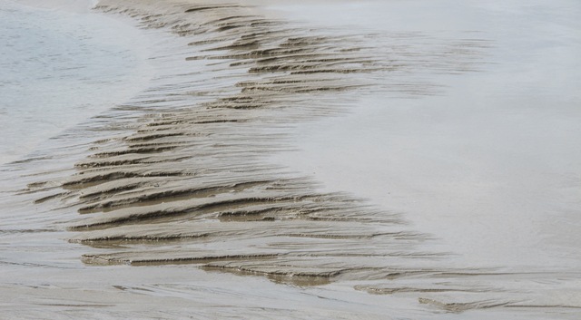 [shed%252C%2520beach%2520039%255B3%255D.jpg]
