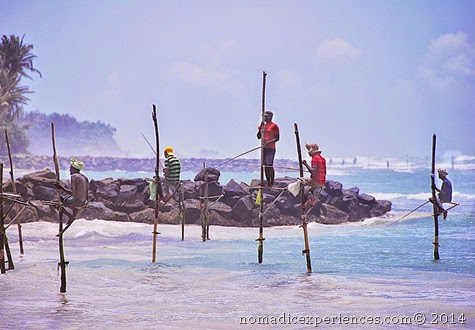 Stilt fishing3 Stilt fishing3